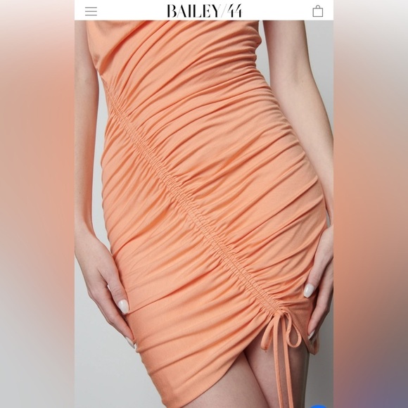 Revolve Jovi Mini Dress in Cantaloupe from Bailey 44 🍑 - Picture 2 of 8